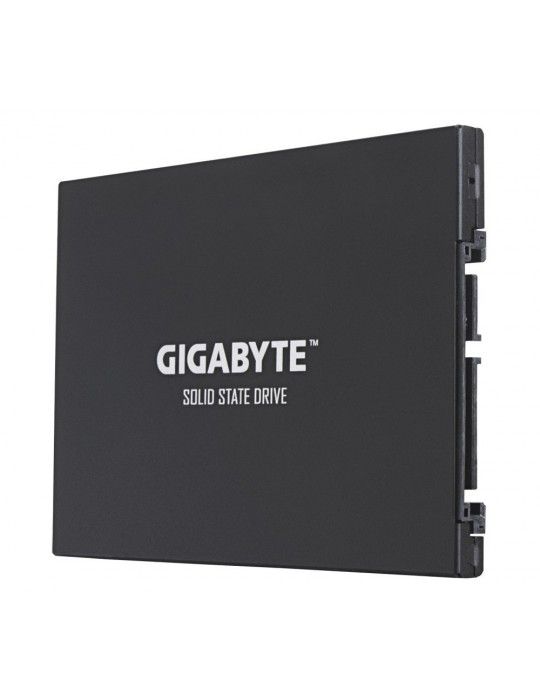 SSD - SSD GIGABYTE™ 256GB 2.5 UD Pro