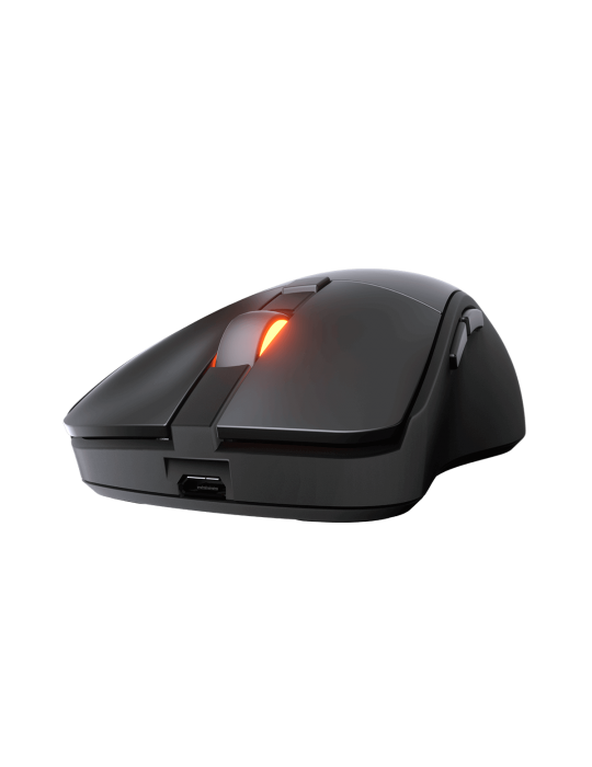  ماوس - Mouse Wireless COUGAR SURPASSION RX