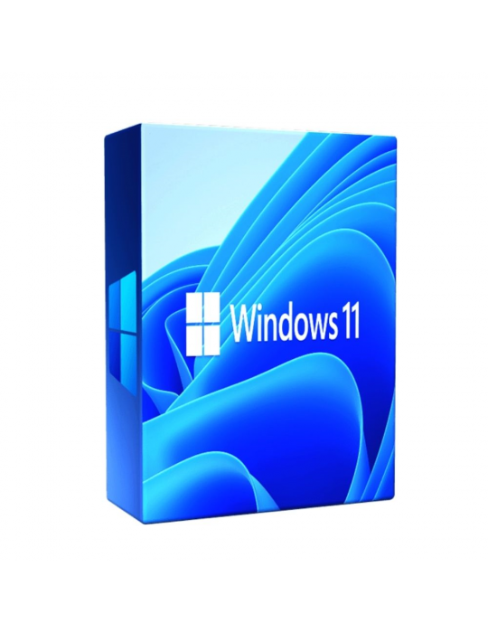  Software - Win 11 Pro 64-bit Key