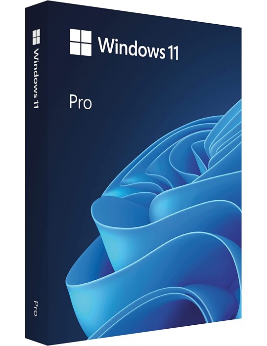  Software - Win 11 Pro 64-bit Key