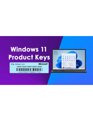 Windows 11 Pro 64-bit Key