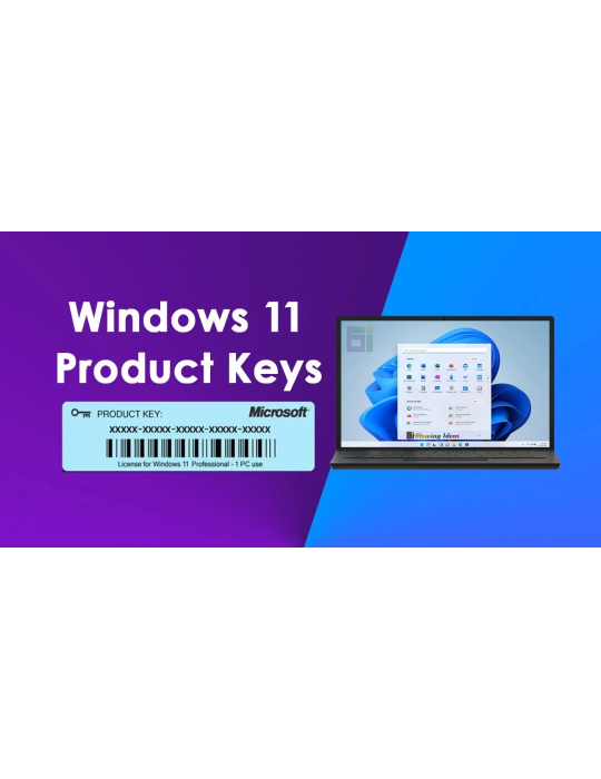 Software - Win 11 Pro 64-bit Key