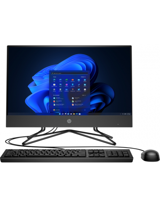  All-in-one - HP 200 G4 All-in-One PC i5-10210U-4GB-1TB-21.5 inch FHD Monitor-DOS-Black