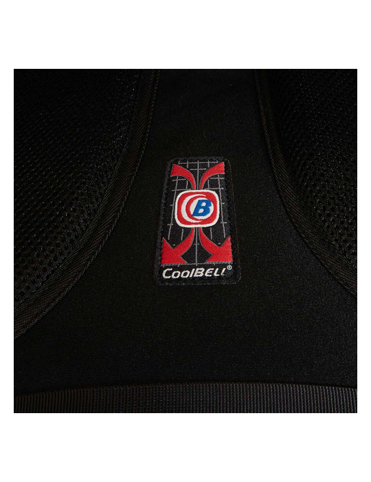  Carry Case - CoolBell CB-8009 Laptop Backpack-15.6 Inch-Black