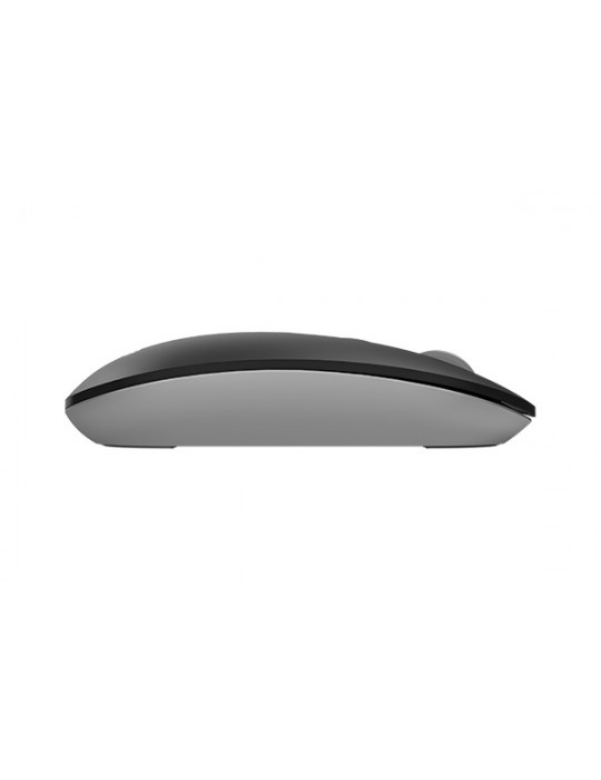  Mouse - A4tech Fstyler FG20 Wireless Mouse-Black