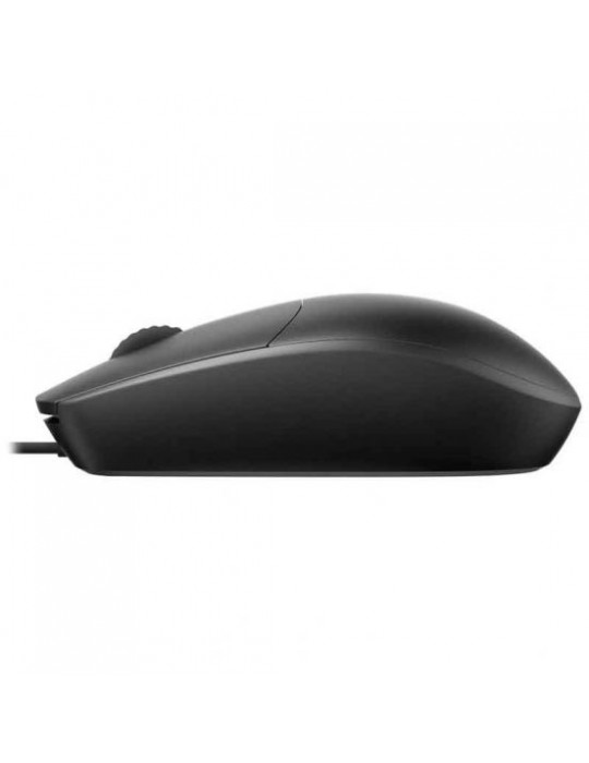  Home - Rapoo Wired Mouse N100C Type C