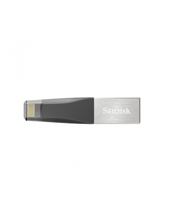  Flash Memory - Flash Memory 128GB SanDisk iXpand MINI (iPhone)