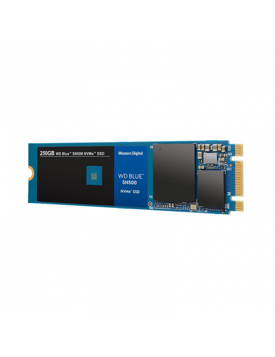  Hard Drive - Western Digital Blue 250GB SSD HDD M.2