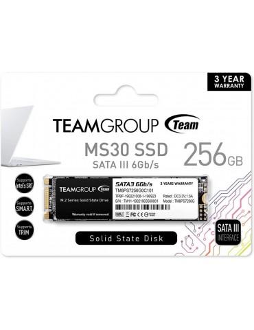 SSD HDD TEAM 256GB M.2 MS30